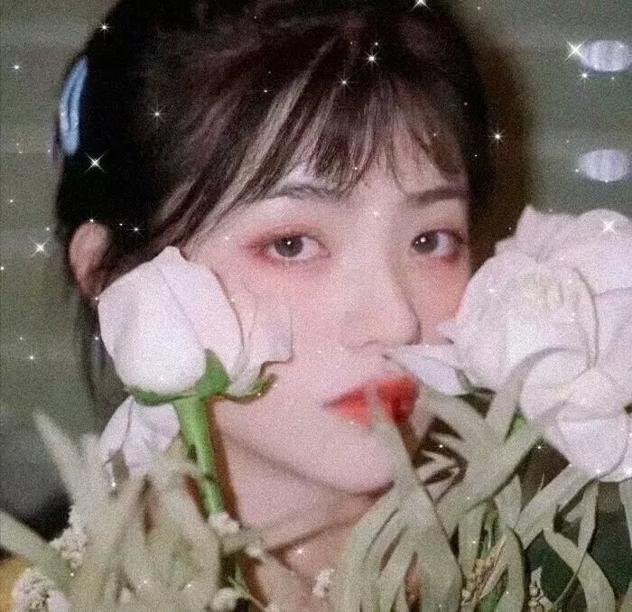 向阳农庄的罗曼史